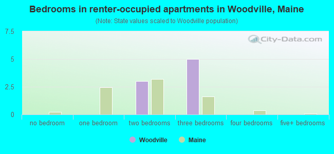 Bedrooms in renter-occupied apartments in Woodville, Maine