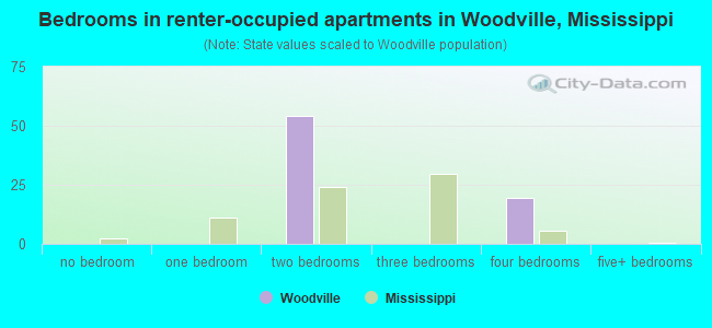 Bedrooms in renter-occupied apartments in Woodville, Mississippi
