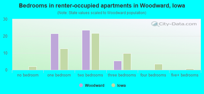 Bedrooms in renter-occupied apartments in Woodward, Iowa
