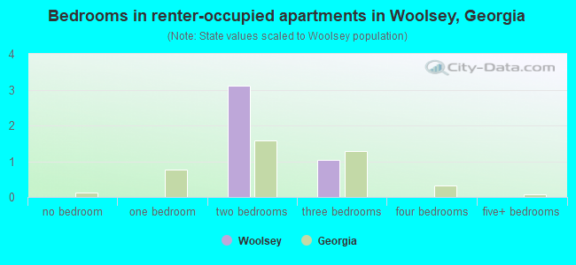 Bedrooms in renter-occupied apartments in Woolsey, Georgia