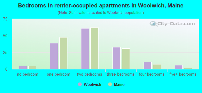 Bedrooms in renter-occupied apartments in Woolwich, Maine