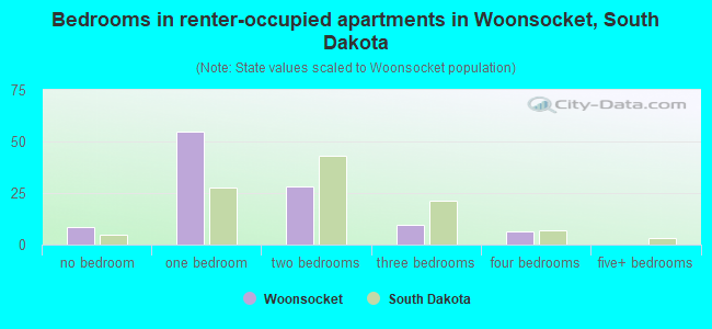 Bedrooms in renter-occupied apartments in Woonsocket, South Dakota