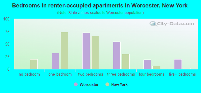 Bedrooms in renter-occupied apartments in Worcester, New York