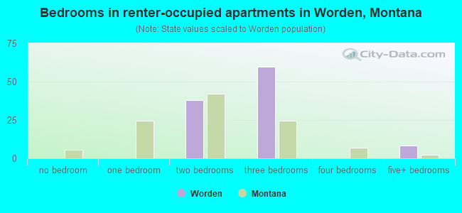 Bedrooms in renter-occupied apartments in Worden, Montana