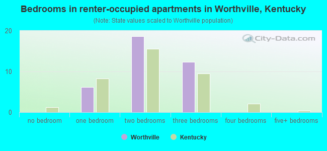 Bedrooms in renter-occupied apartments in Worthville, Kentucky
