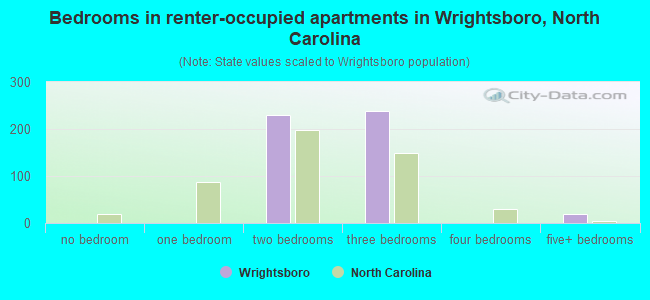 Bedrooms in renter-occupied apartments in Wrightsboro, North Carolina