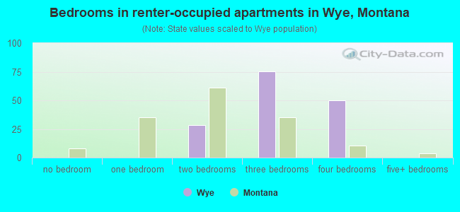 Bedrooms in renter-occupied apartments in Wye, Montana