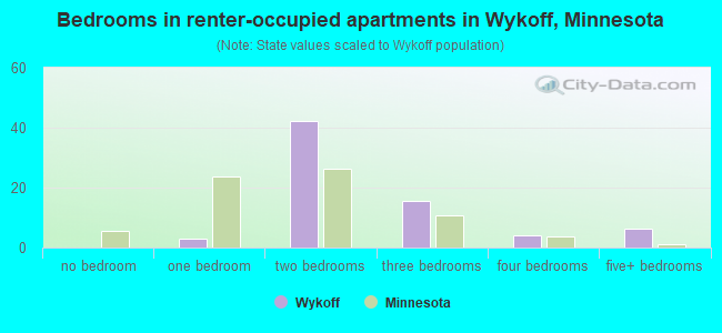 Bedrooms in renter-occupied apartments in Wykoff, Minnesota
