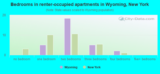 Bedrooms in renter-occupied apartments in Wyoming, New York