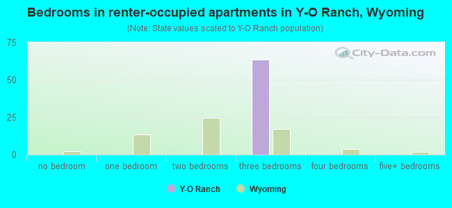 Bedrooms in renter-occupied apartments in Y-O Ranch, Wyoming