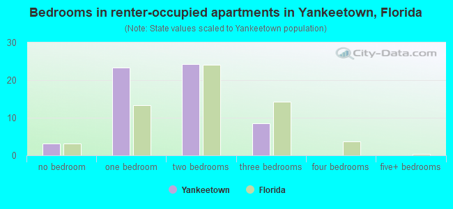 Bedrooms in renter-occupied apartments in Yankeetown, Florida