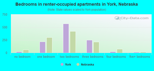 Bedrooms in renter-occupied apartments in York, Nebraska