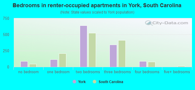 Bedrooms in renter-occupied apartments in York, South Carolina
