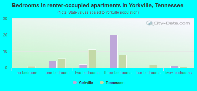 Bedrooms in renter-occupied apartments in Yorkville, Tennessee