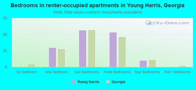 Bedrooms in renter-occupied apartments in Young Harris, Georgia