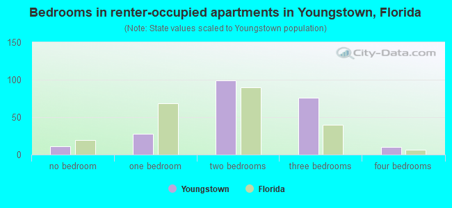 Bedrooms in renter-occupied apartments in Youngstown, Florida