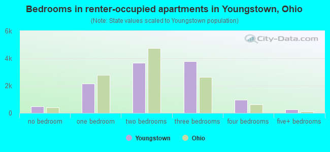 Bedrooms in renter-occupied apartments in Youngstown, Ohio