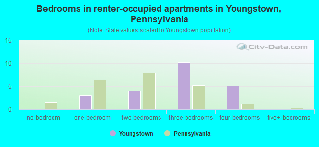 Bedrooms in renter-occupied apartments in Youngstown, Pennsylvania