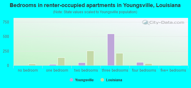 Bedrooms in renter-occupied apartments in Youngsville, Louisiana