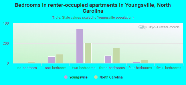 Bedrooms in renter-occupied apartments in Youngsville, North Carolina