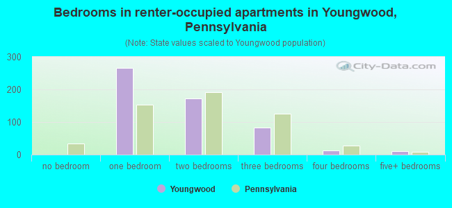 Bedrooms in renter-occupied apartments in Youngwood, Pennsylvania
