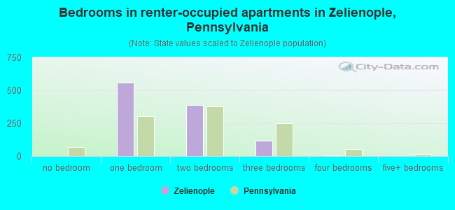 Bedrooms in renter-occupied apartments in Zelienople, Pennsylvania