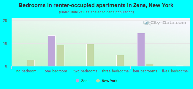 Bedrooms in renter-occupied apartments in Zena, New York
