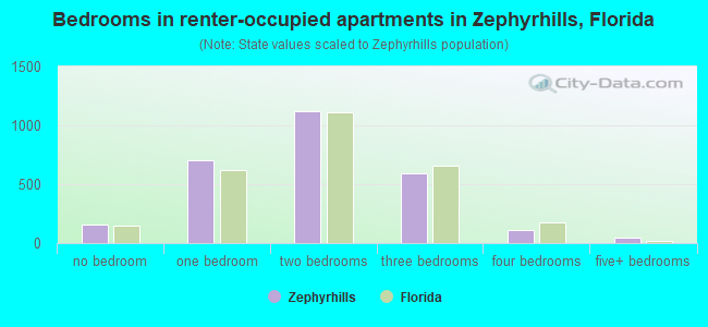 Bedrooms in renter-occupied apartments in Zephyrhills, Florida