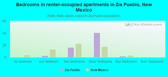 Bedrooms in renter-occupied apartments in Zia Pueblo, New Mexico