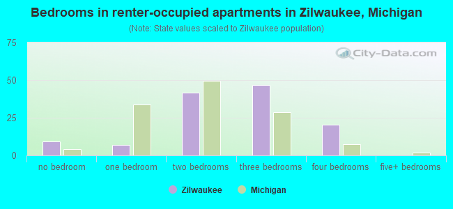 Bedrooms in renter-occupied apartments in Zilwaukee, Michigan