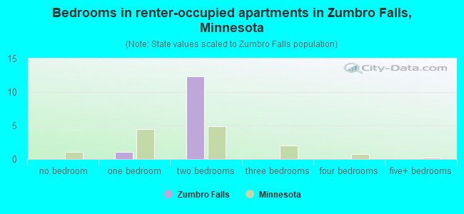 Bedrooms in renter-occupied apartments in Zumbro Falls, Minnesota