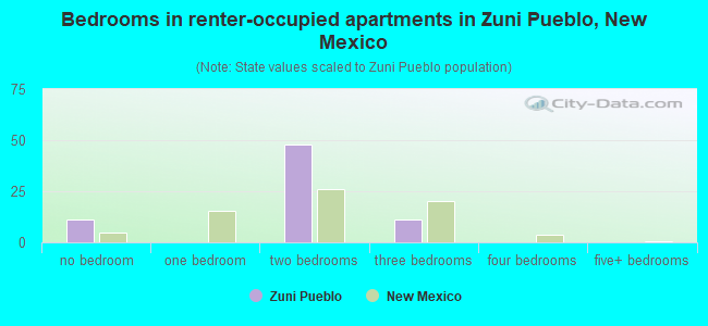 Bedrooms in renter-occupied apartments in Zuni Pueblo, New Mexico