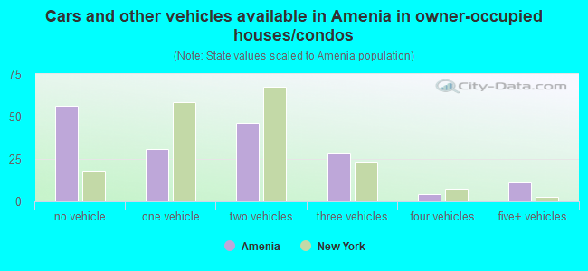Cars and other vehicles available in Amenia in owner-occupied houses/condos