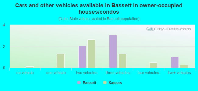 Cars and other vehicles available in Bassett in owner-occupied houses/condos