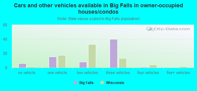 Cars and other vehicles available in Big Falls in owner-occupied houses/condos