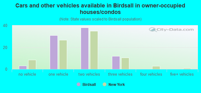 Cars and other vehicles available in Birdsall in owner-occupied houses/condos