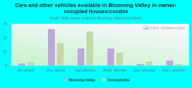 Cars and other vehicles available in Blooming Valley in owner-occupied houses/condos