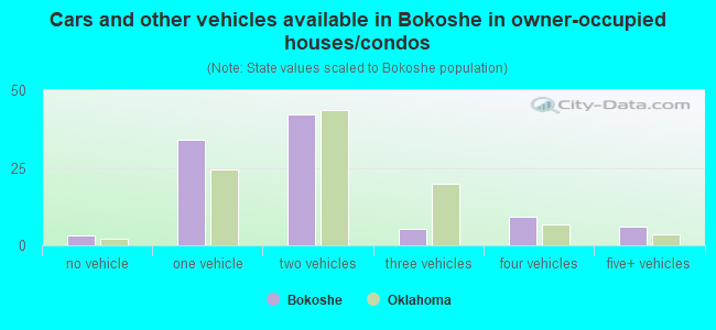 Cars and other vehicles available in Bokoshe in owner-occupied houses/condos