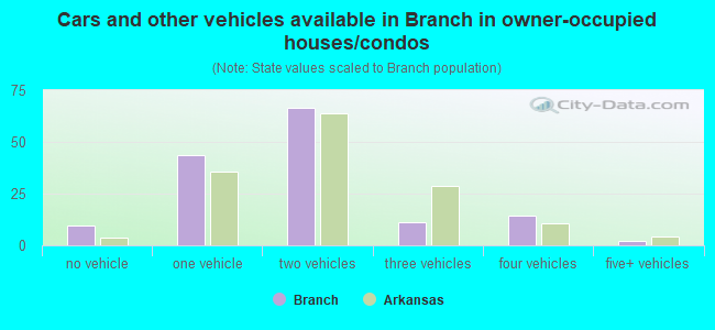 Cars and other vehicles available in Branch in owner-occupied houses/condos