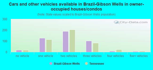 Cars and other vehicles available in Brazil-Gibson Wells in owner-occupied houses/condos