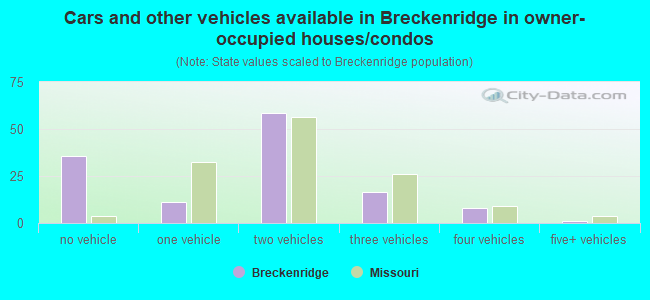 Cars and other vehicles available in Breckenridge in owner-occupied houses/condos