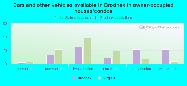 Cars and other vehicles available in Brodnax in owner-occupied houses/condos