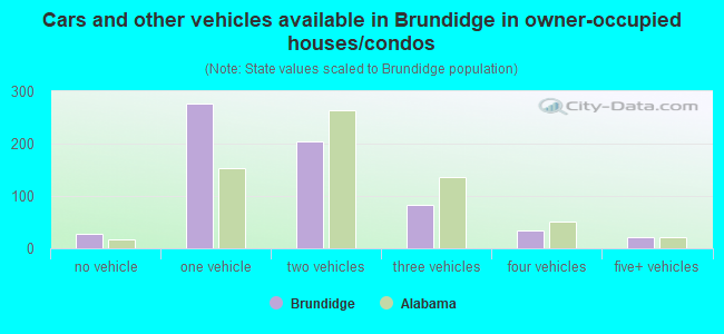 Cars and other vehicles available in Brundidge in owner-occupied houses/condos