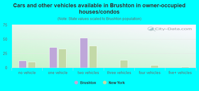Cars and other vehicles available in Brushton in owner-occupied houses/condos