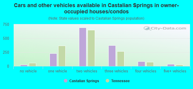 Cars and other vehicles available in Castalian Springs in owner-occupied houses/condos
