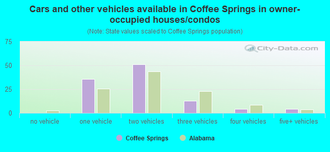 Cars and other vehicles available in Coffee Springs in owner-occupied houses/condos