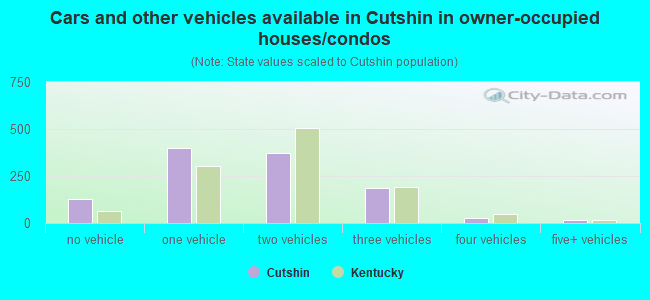 Cars and other vehicles available in Cutshin in owner-occupied houses/condos