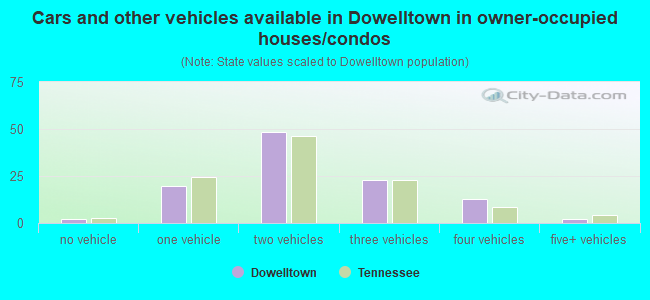 Cars and other vehicles available in Dowelltown in owner-occupied houses/condos