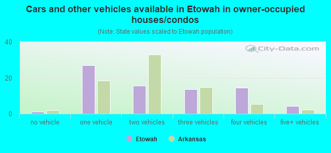 Cars and other vehicles available in Etowah in owner-occupied houses/condos