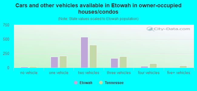 Cars and other vehicles available in Etowah in owner-occupied houses/condos
